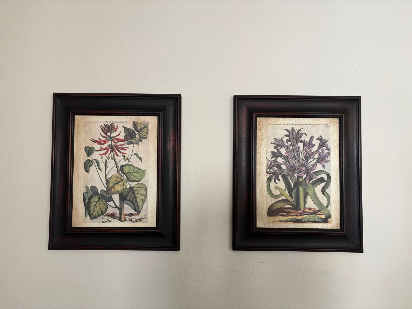 Framed Botanical Prints (Set of 2)