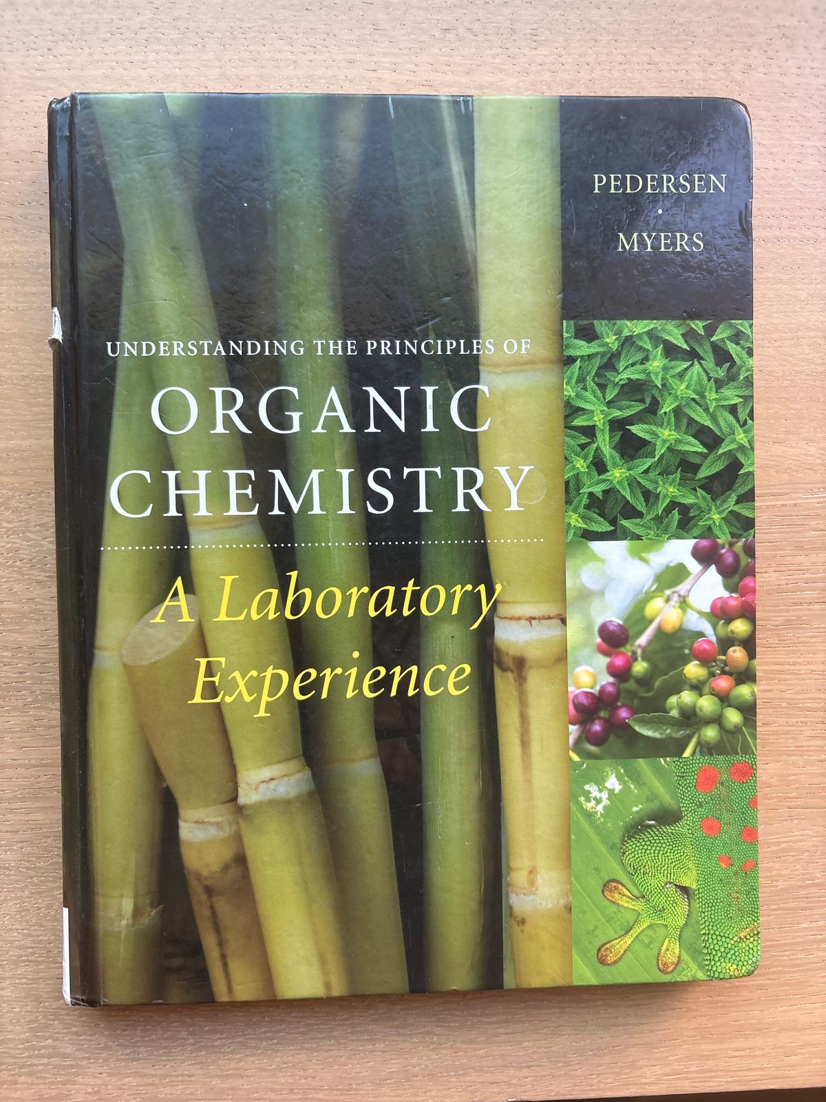 Understanding the Principles of Organic Chemistry: A Laboratory Experience by Pedersen and Myers