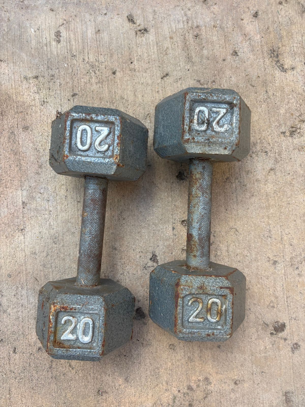 Pair of 20 lb Dumbbells