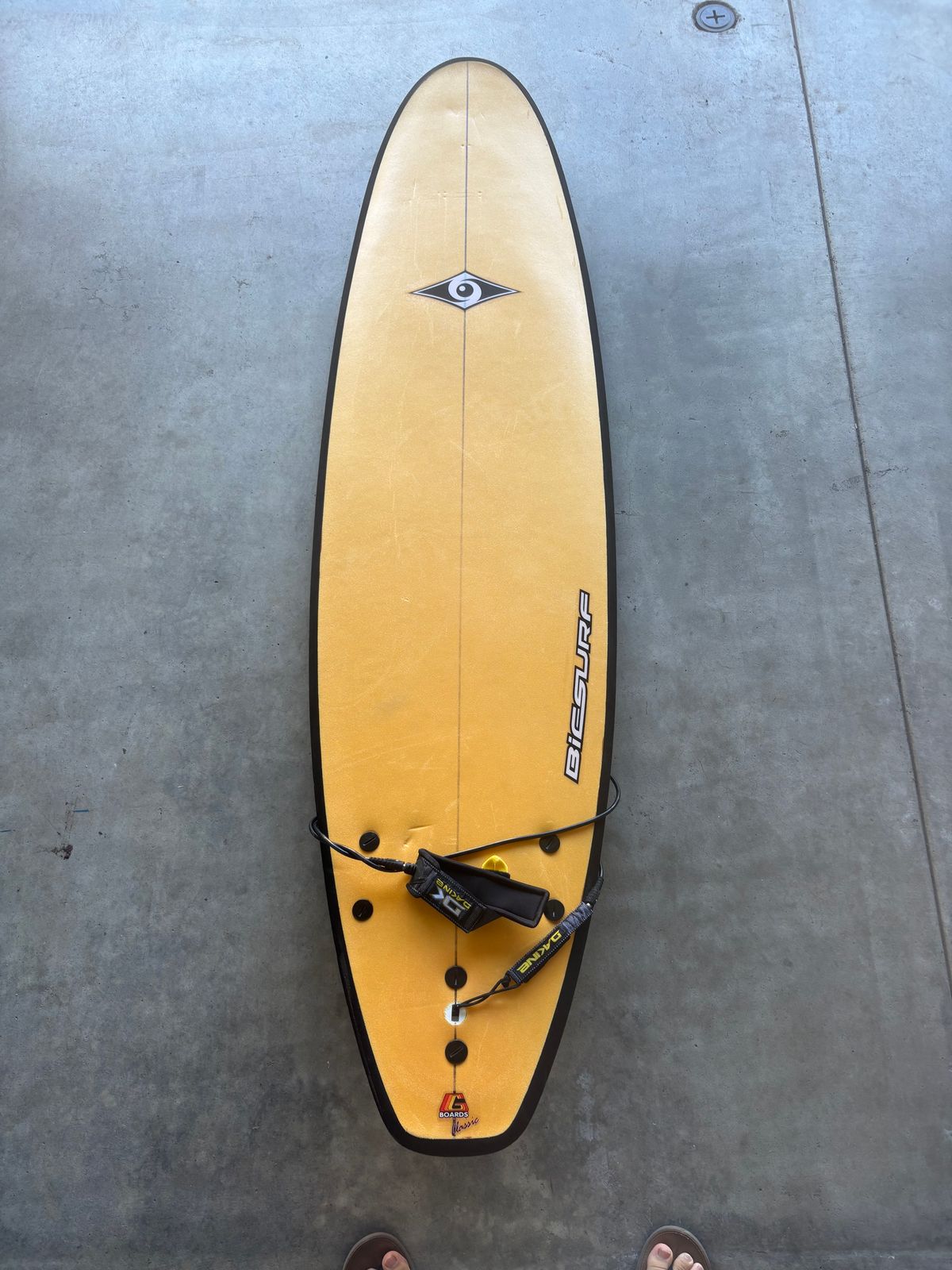 Bicsurf Surfboard